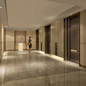 Manual Door Passenger Lift